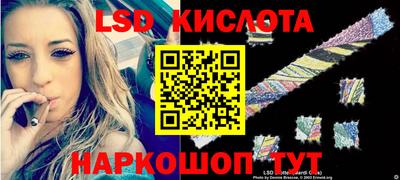 эйфоретик Славгород