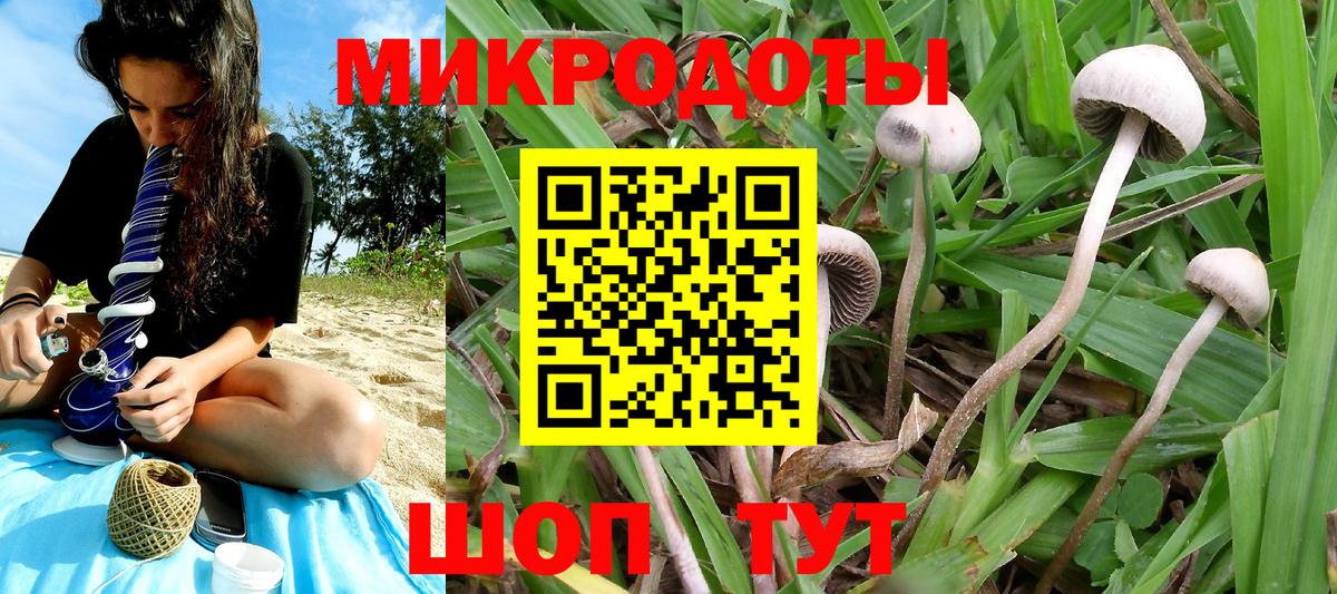 Псилоцибиновые грибы Magic Shrooms  купить наркотик  Павловский Посад  Галлюциногенные грибы Psilocybe  Вход с VPN 